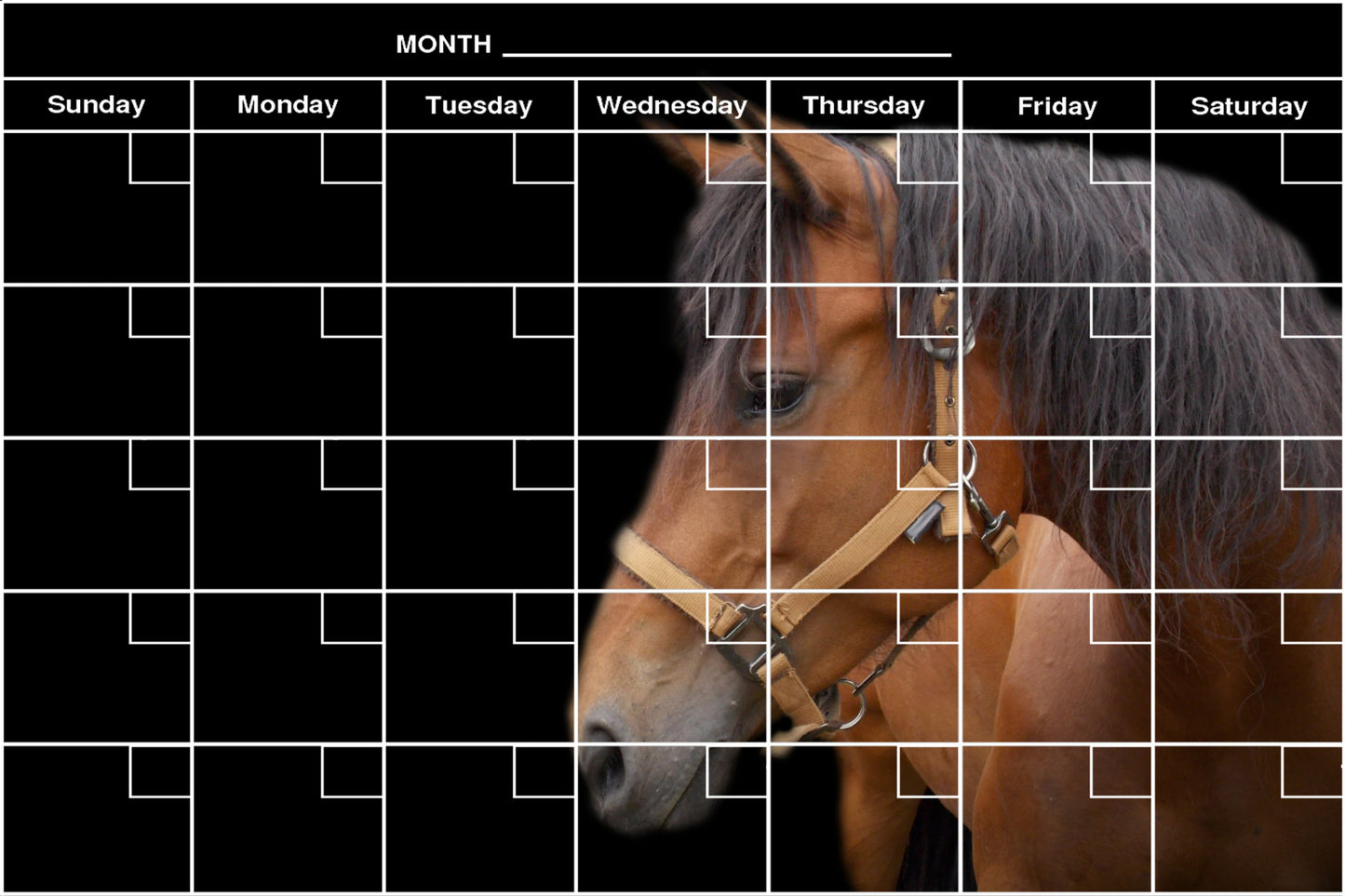 Horse Silhouette - Flexible Fridge Magnet, Includes Fine Chalk Marker