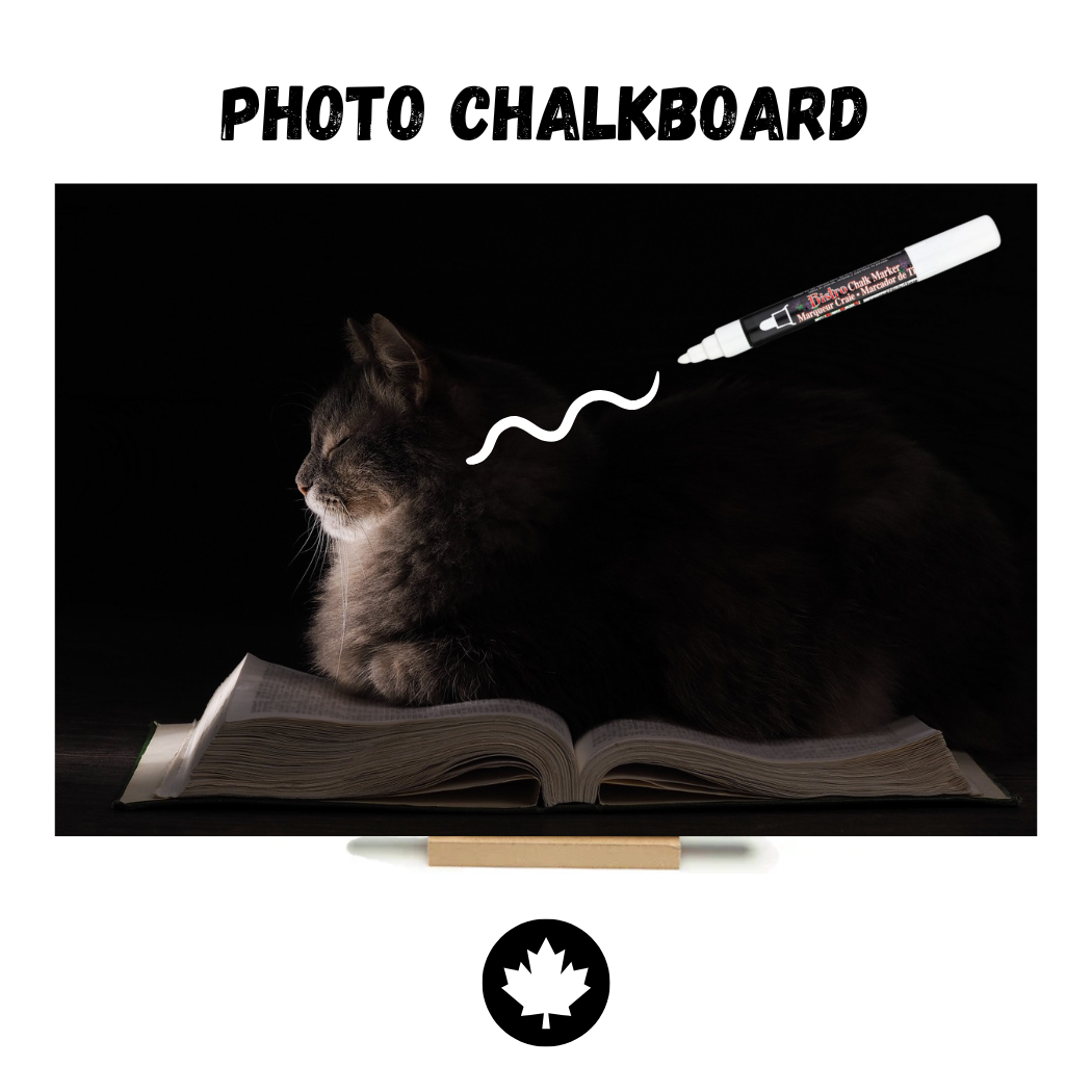 Grey Kitten - PHOTO CHALKBOARD - Original Style & Flexible Fridge Magnet