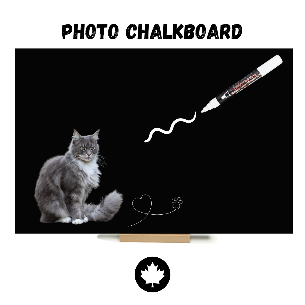 Grey Kitten - PHOTO CHALKBOARD - Original Style & Flexible Fridge Magnet
