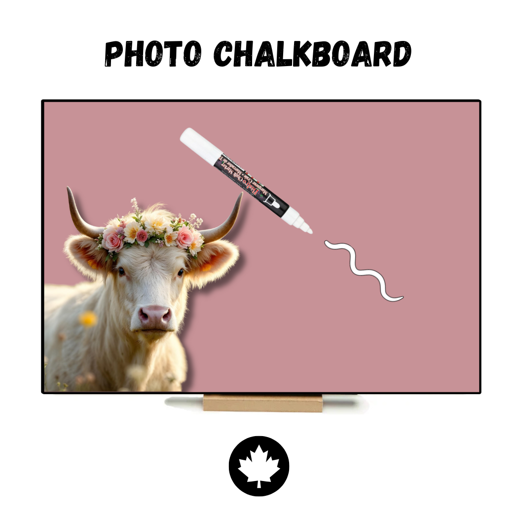 White Highland Cow (Pink) - PHOTO CHALKBOARD - Original Style & Flexible Fridge Magnet