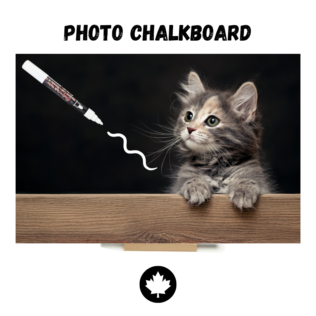 Grey Kitten - PHOTO CHALKBOARD - Original Style & Flexible Fridge Magnet