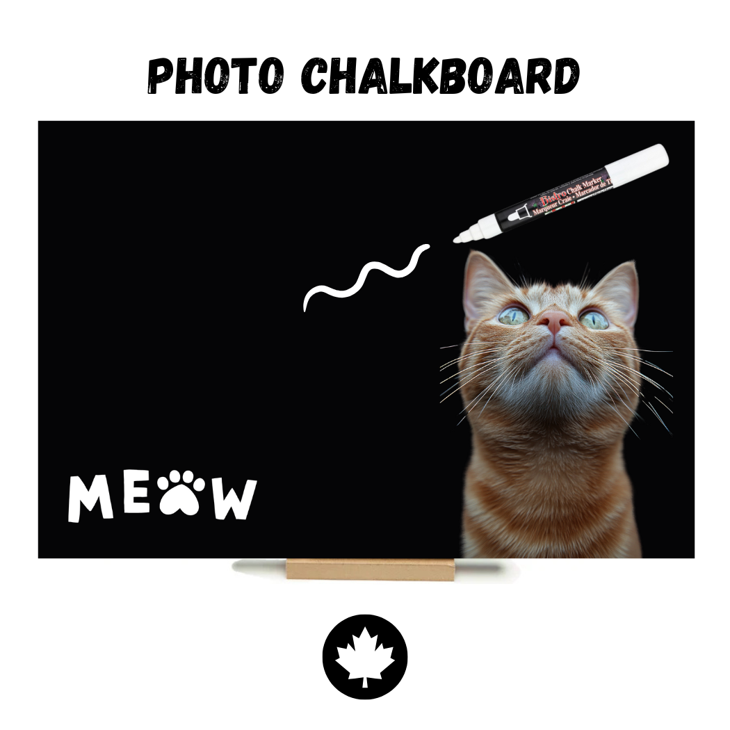 Orange Tabby KItten - PHOTO CHALKBOARD - Original Style & Flexible Fridge Magnet