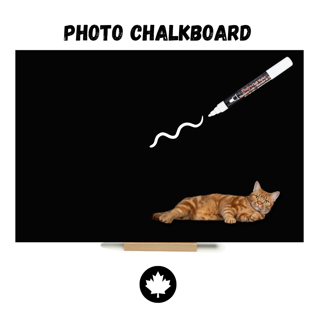 Grey & White Tabby - PHOTO CHALKBOARD - Original Style & Flexible Fridge Magnet