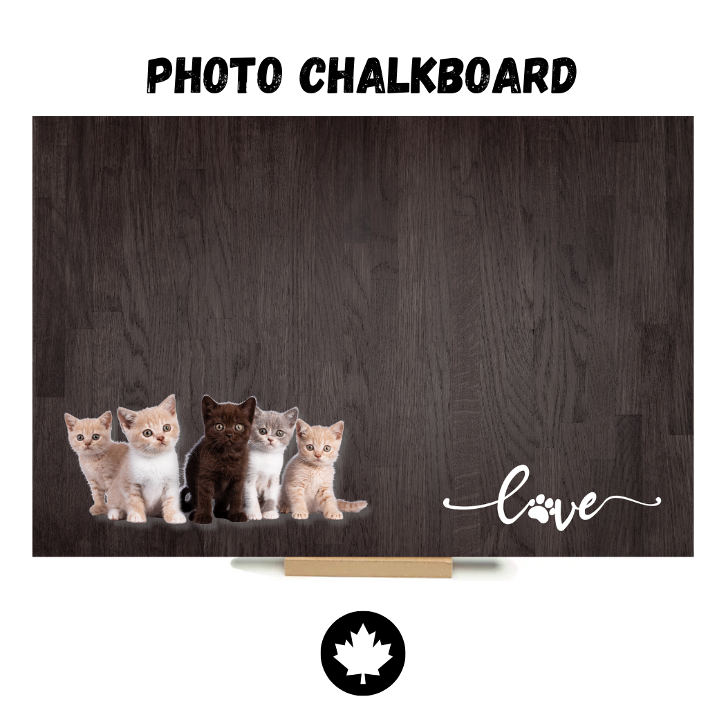 Siamese Cat - PHOTO CHALKBOARD - Original Style & Flexible Fridge Magnet