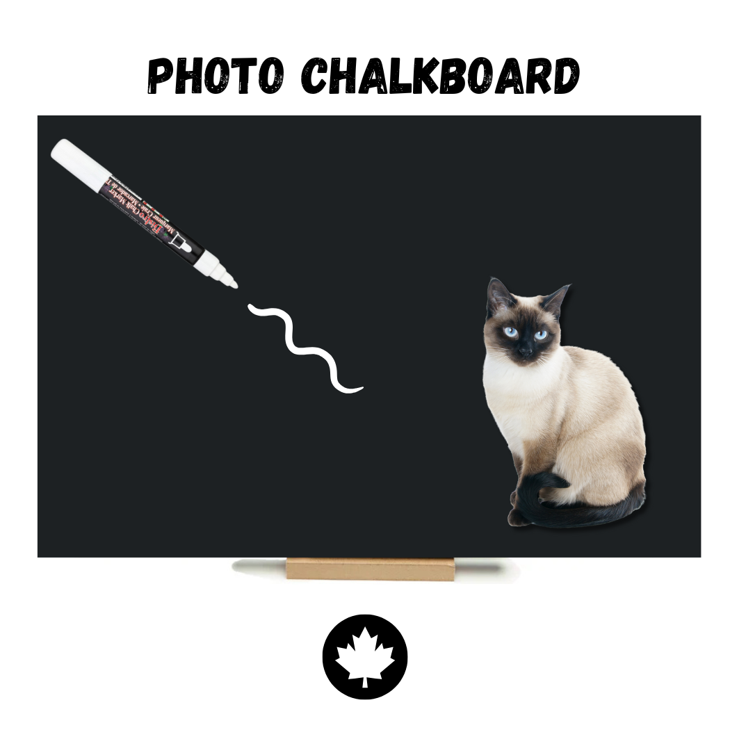 Siamese Cat - PHOTO CHALKBOARD - Original Style & Flexible Fridge Magnet
