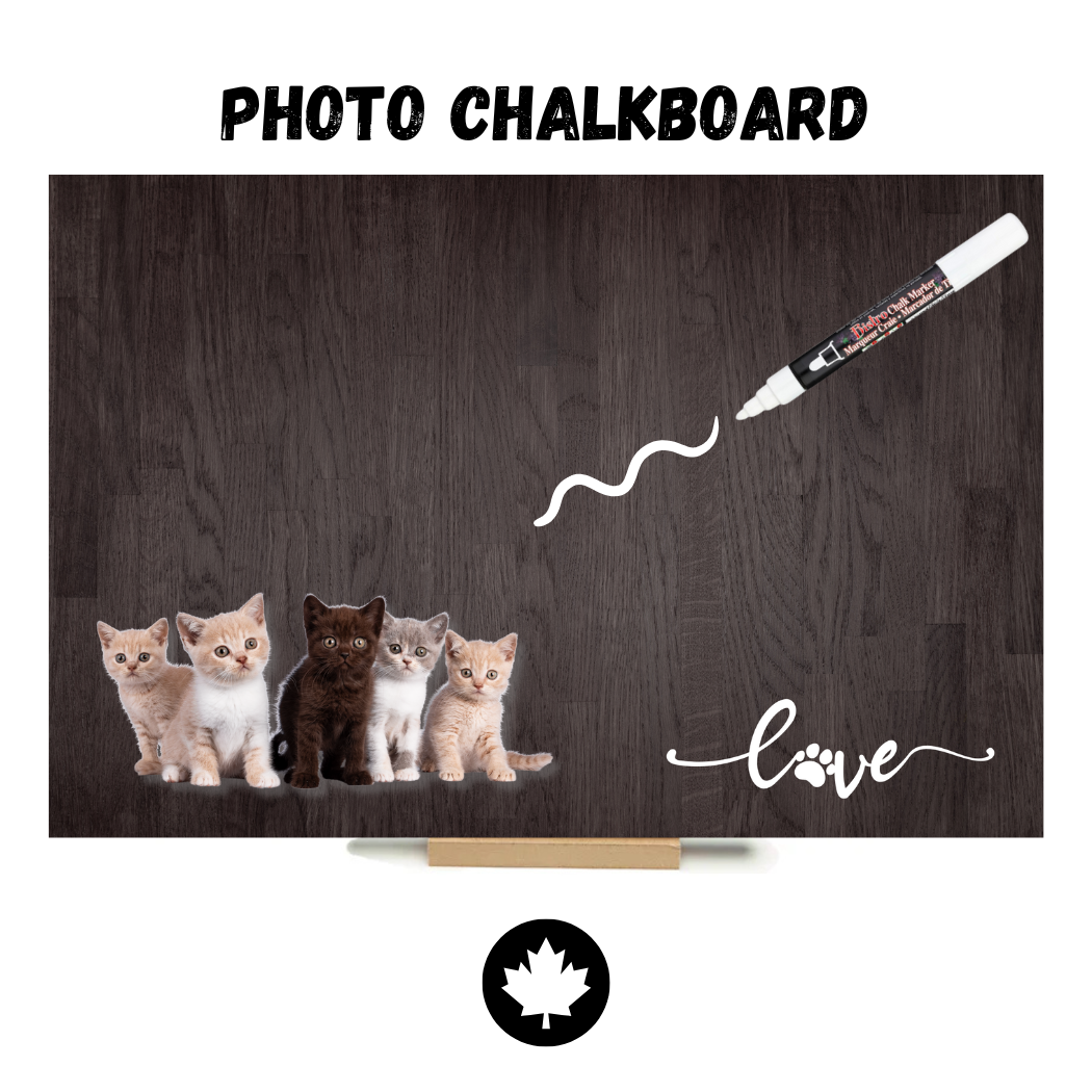 Kitten Love - PHOTO CHALKBOARD - Original Style & Flexible Fridge Magnet
