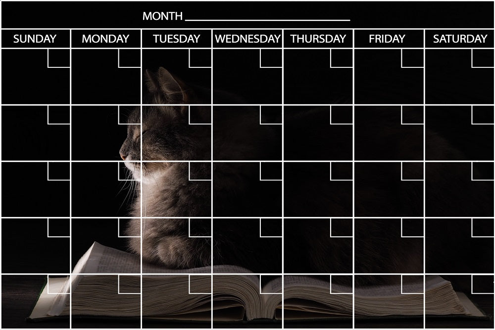 Cat on a Book Calendar PHOTO CHALKBOARD Includes Chalkboard, Chalk Marker and Stand