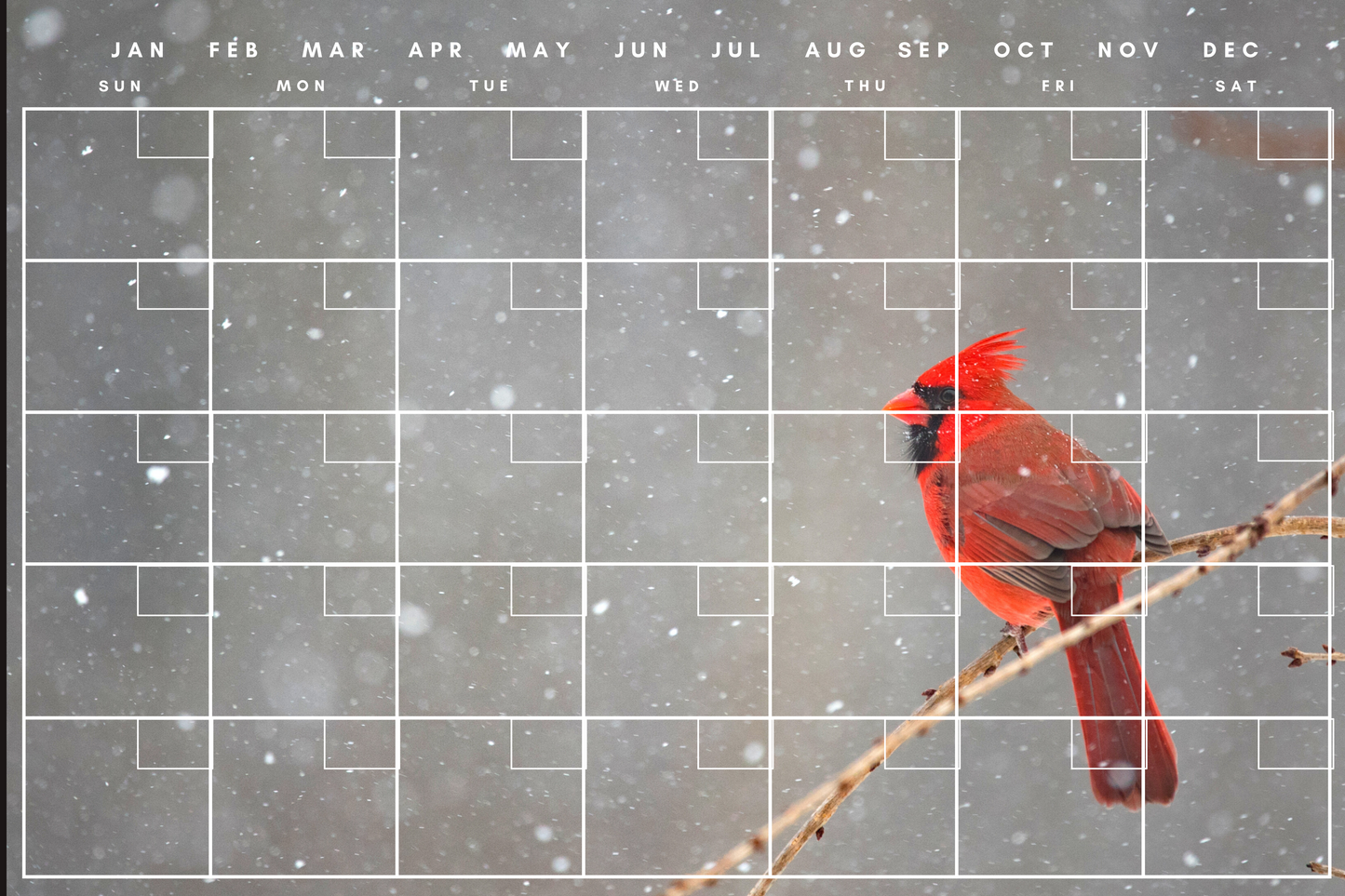 "Cardinal" Calendar PHOTO CHALKBOARD Includes Chalkboard, Chalk Marker and Stand