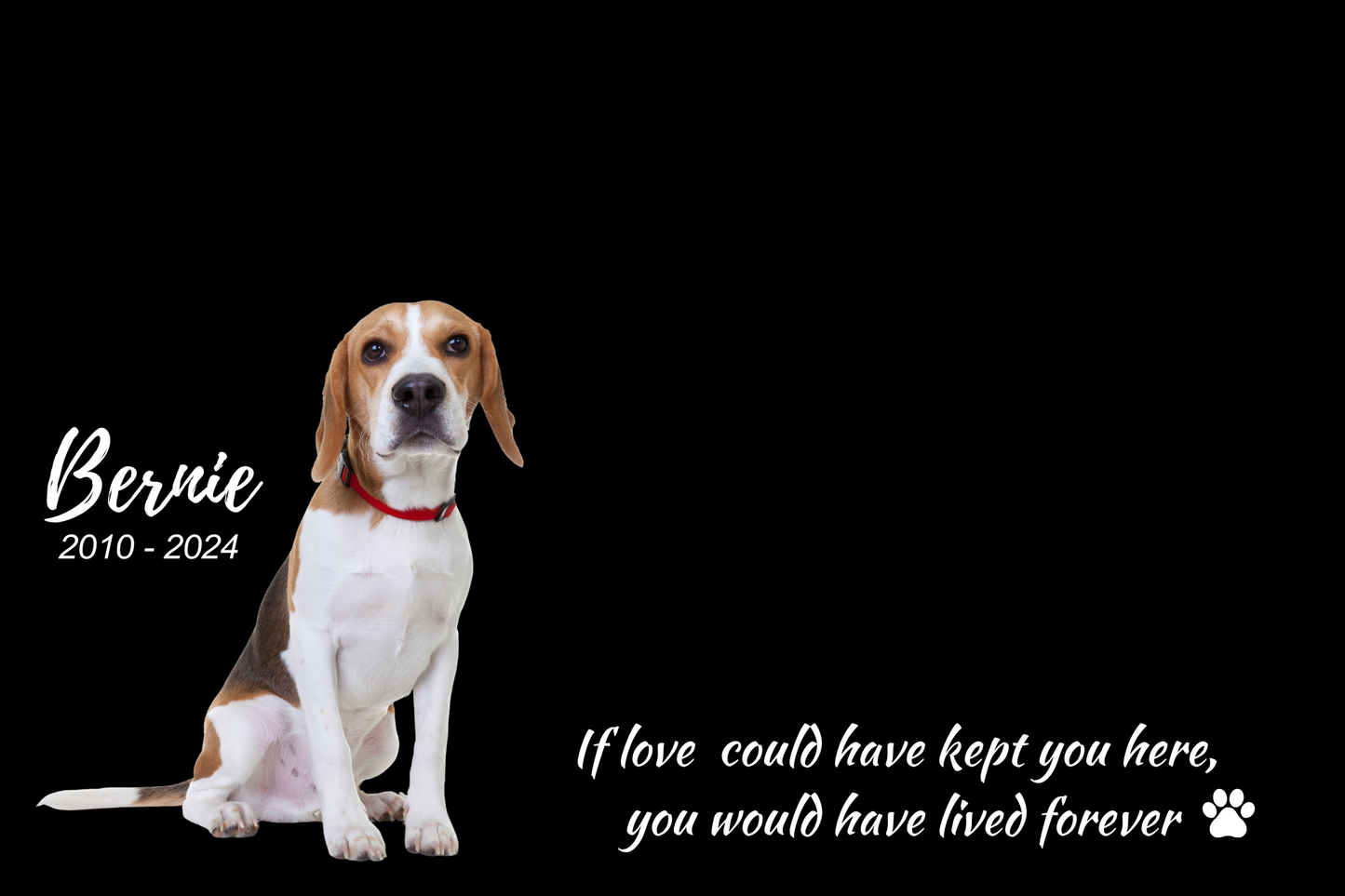 π PAWPRINTS π TRIBUTE