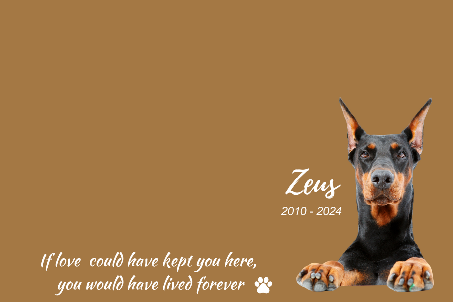 π PAWPRINTS π TRIBUTE