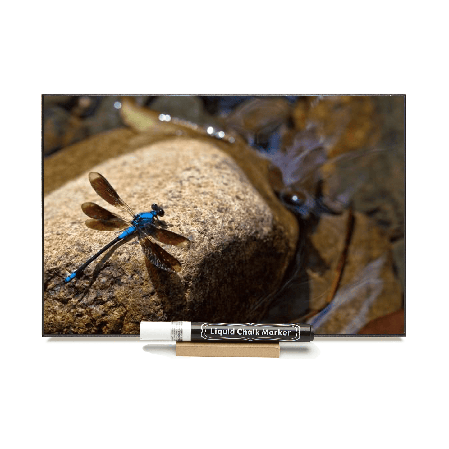 "Dragonfly On Rock" PHOTO CHALKBOARD Chalkboard, Chalk Marker & Stand