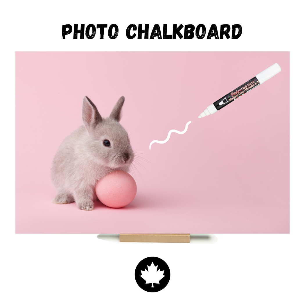 Easter Eggs on Barnboard - PHOTO CHALKBOARD - Original Style & Flexible Fridge Magnet