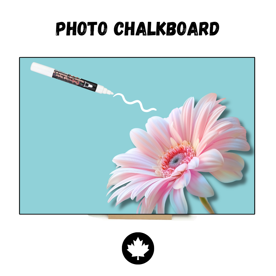 Vintage Daisies - PHOTO CHALKBOARD - Original Style & Flexible Fridge Magnet