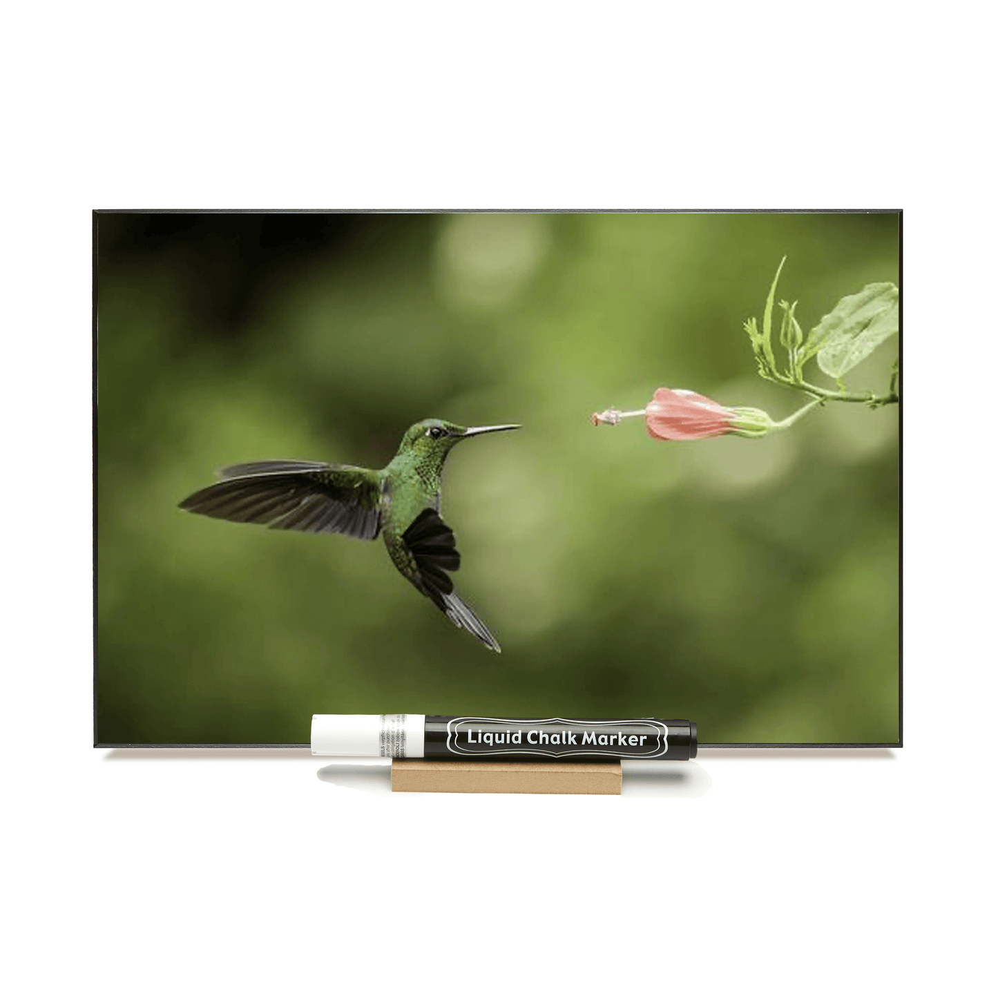 "Green Hummingbird" PHOTO CHALKBOARD Includes Chalkboard, Chalk Marker & Stand