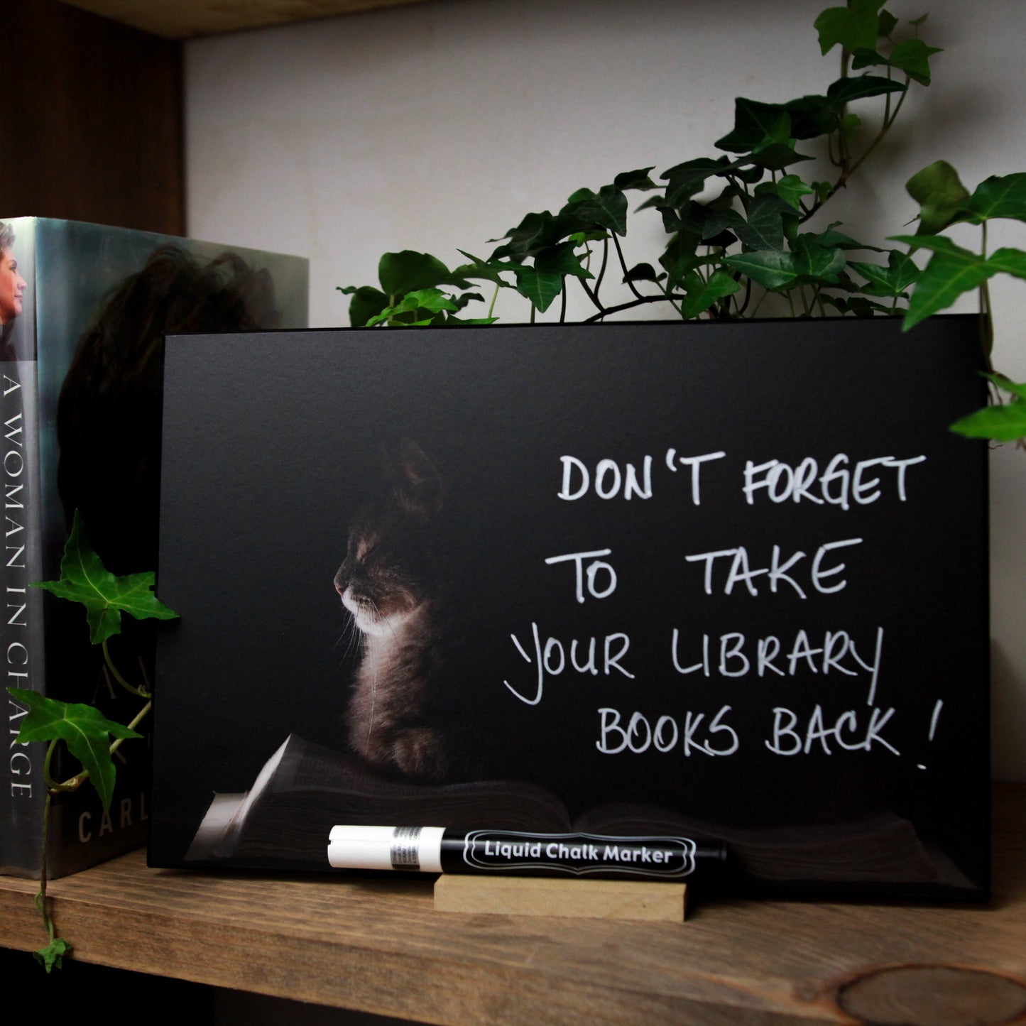 "Cat on a Book" PHOTO CHALKBOARD Includes Chalkboard, Chalk Marker and Stand