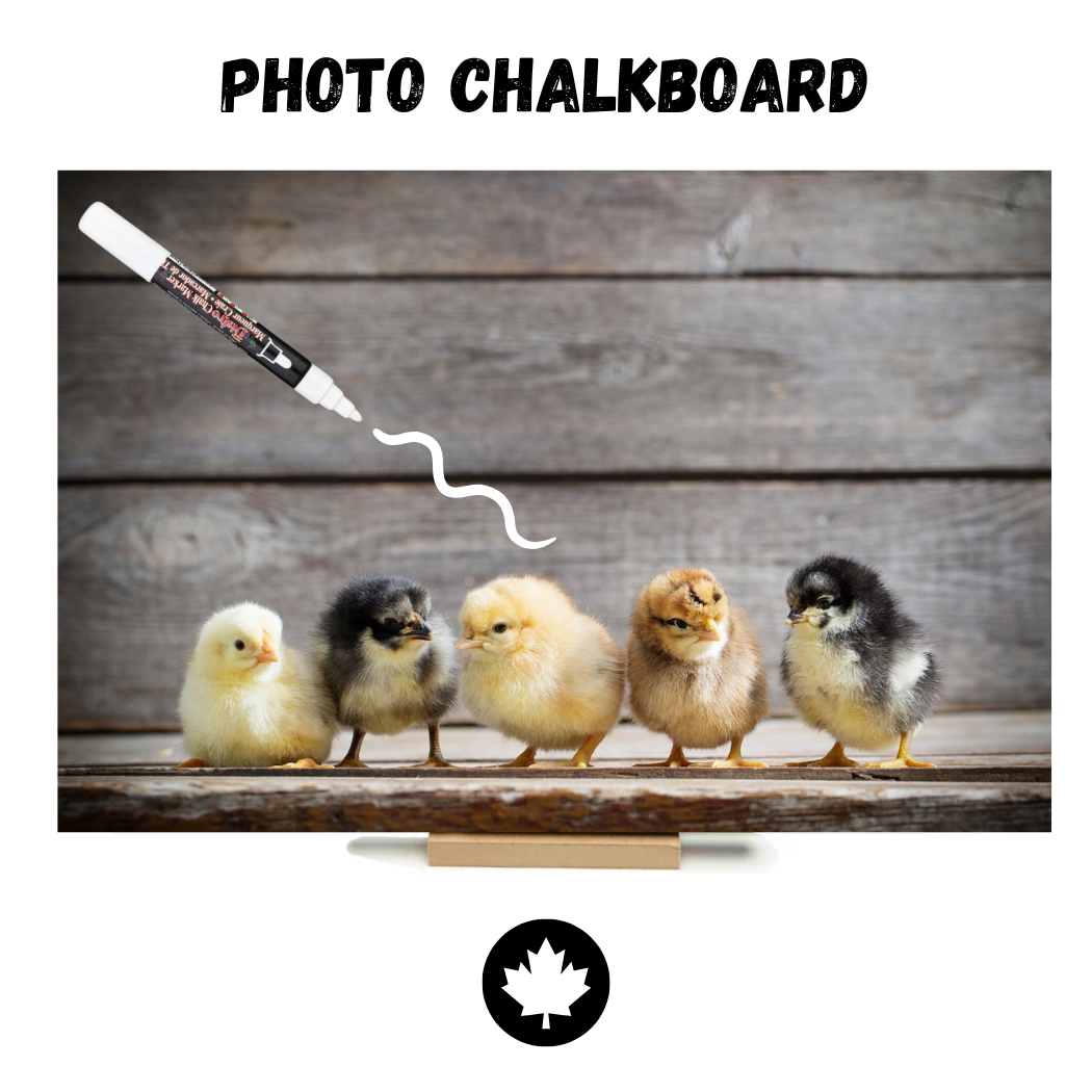 Chicks on Barnboard - PHOTO CHALKBOARD - Original Style & Flexible Fridge Magnet