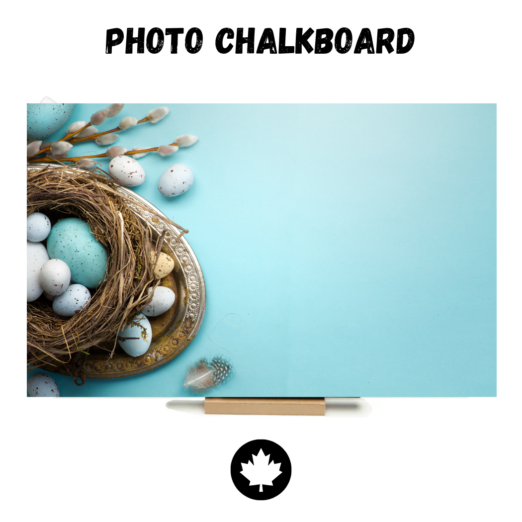 Chicks on Barnboard - PHOTO CHALKBOARD - Original Style & Flexible Fridge Magnet