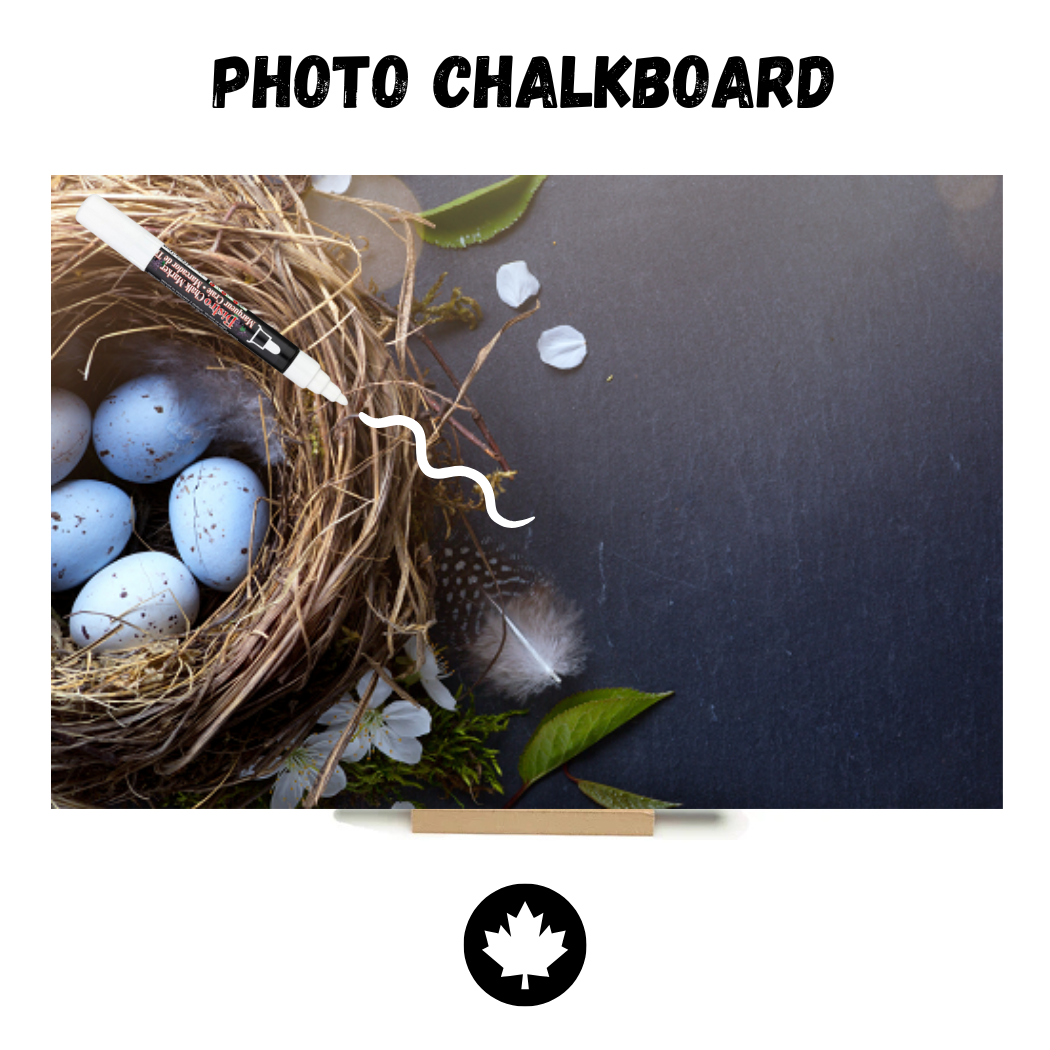 Chicks on Barnboard - PHOTO CHALKBOARD - Original Style & Flexible Fridge Magnet