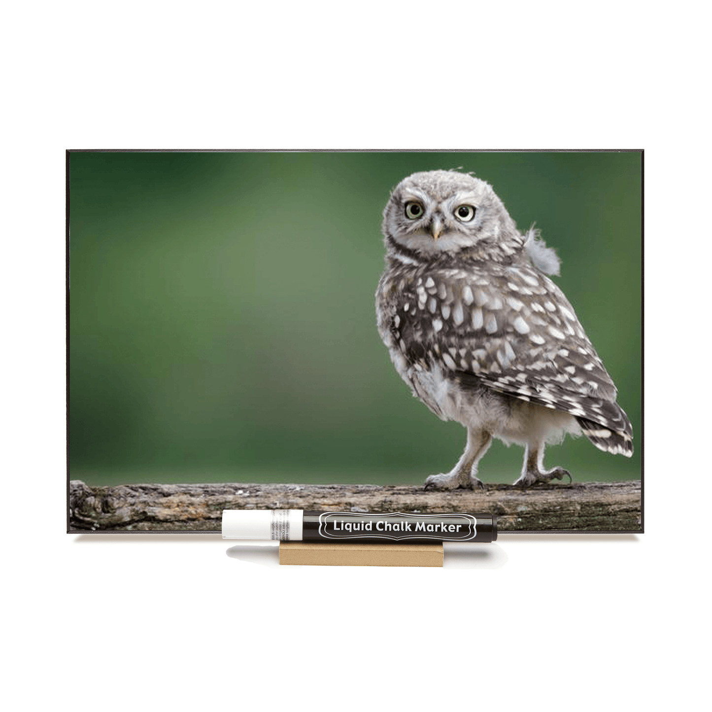 "Ruby Throated Hummingbird" PHOTO CHALKBOARD Includes Chalkboard, Chalk Marker & Stand