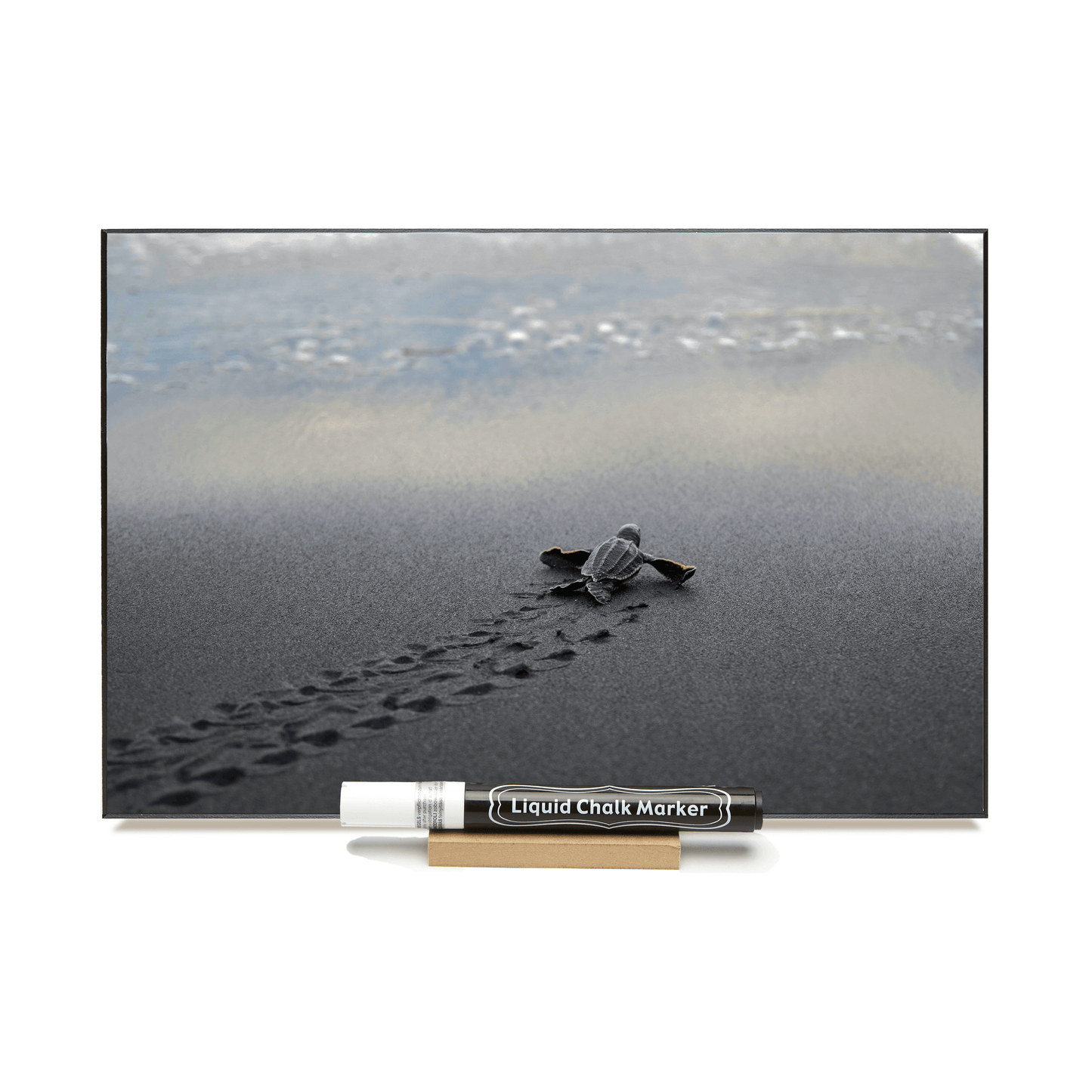 "Baby Turtle" PHOTO CHALKBOARD Includes Chalkboard, Chalk Marker and Stand