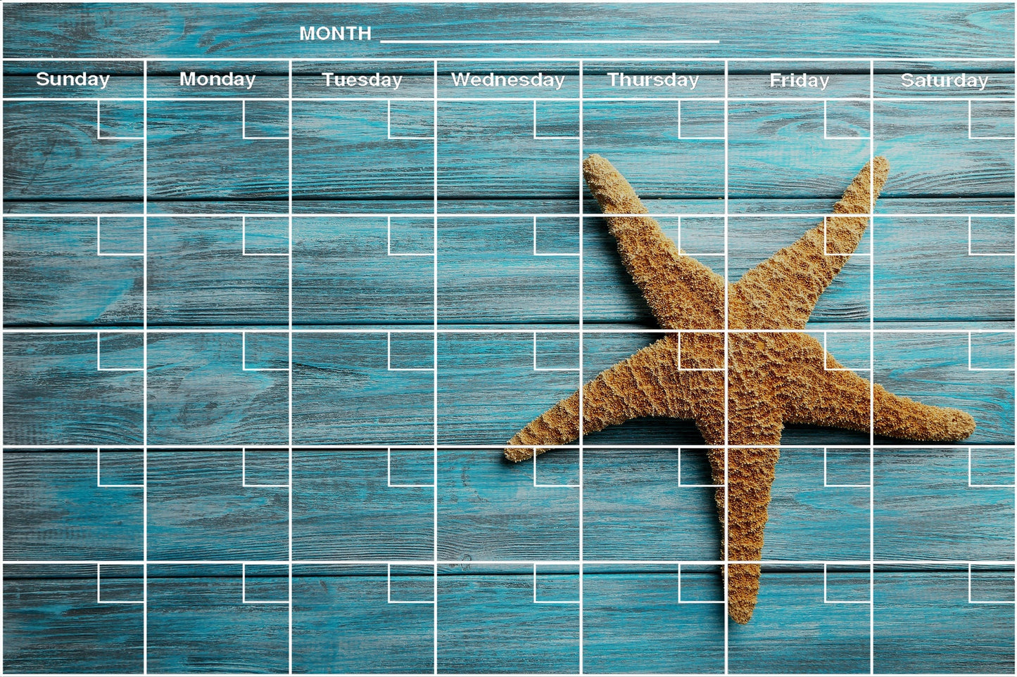 Turquoise Starfish - Flexible Fridge Magnet, Includes Fine Chalk Marker