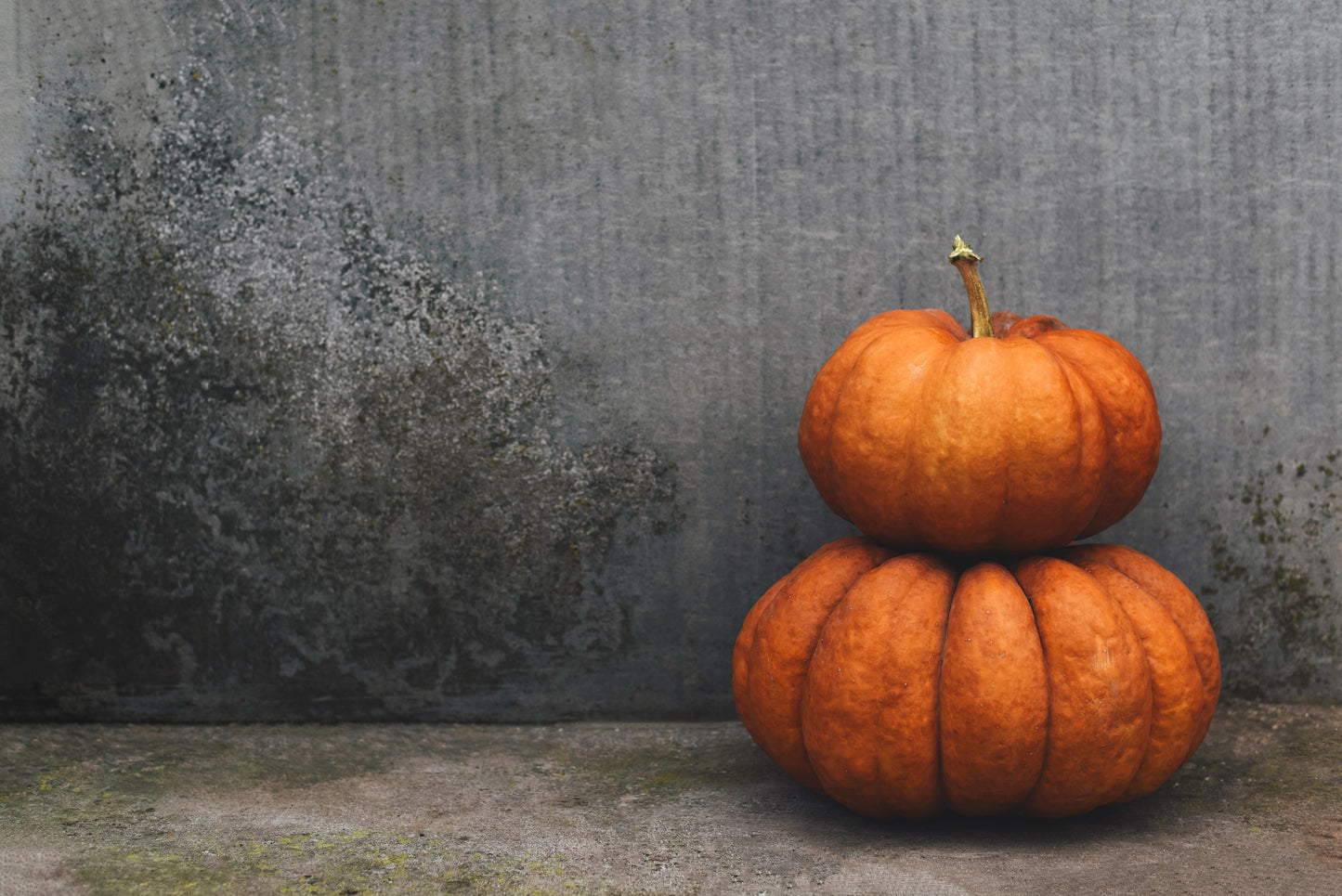 "Two Stacked Pumpkins" PHOTO CHALKBOARD Includes Chalkboard, Chalk Marker & Stand (Copy) (Copy)