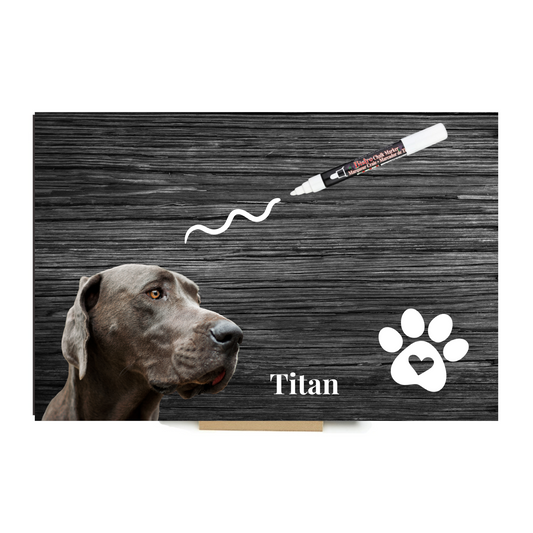 π PAWPRINTS π PAW WITH HEART