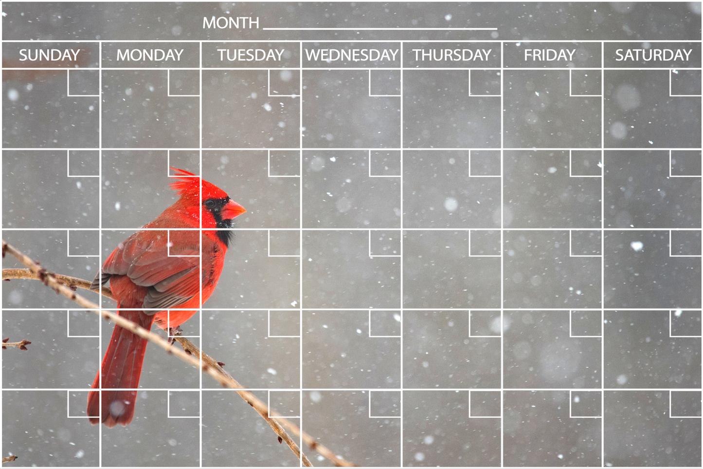 Cardinal - Flexible Fridge Magnet, Includes Fine Chalk Marker