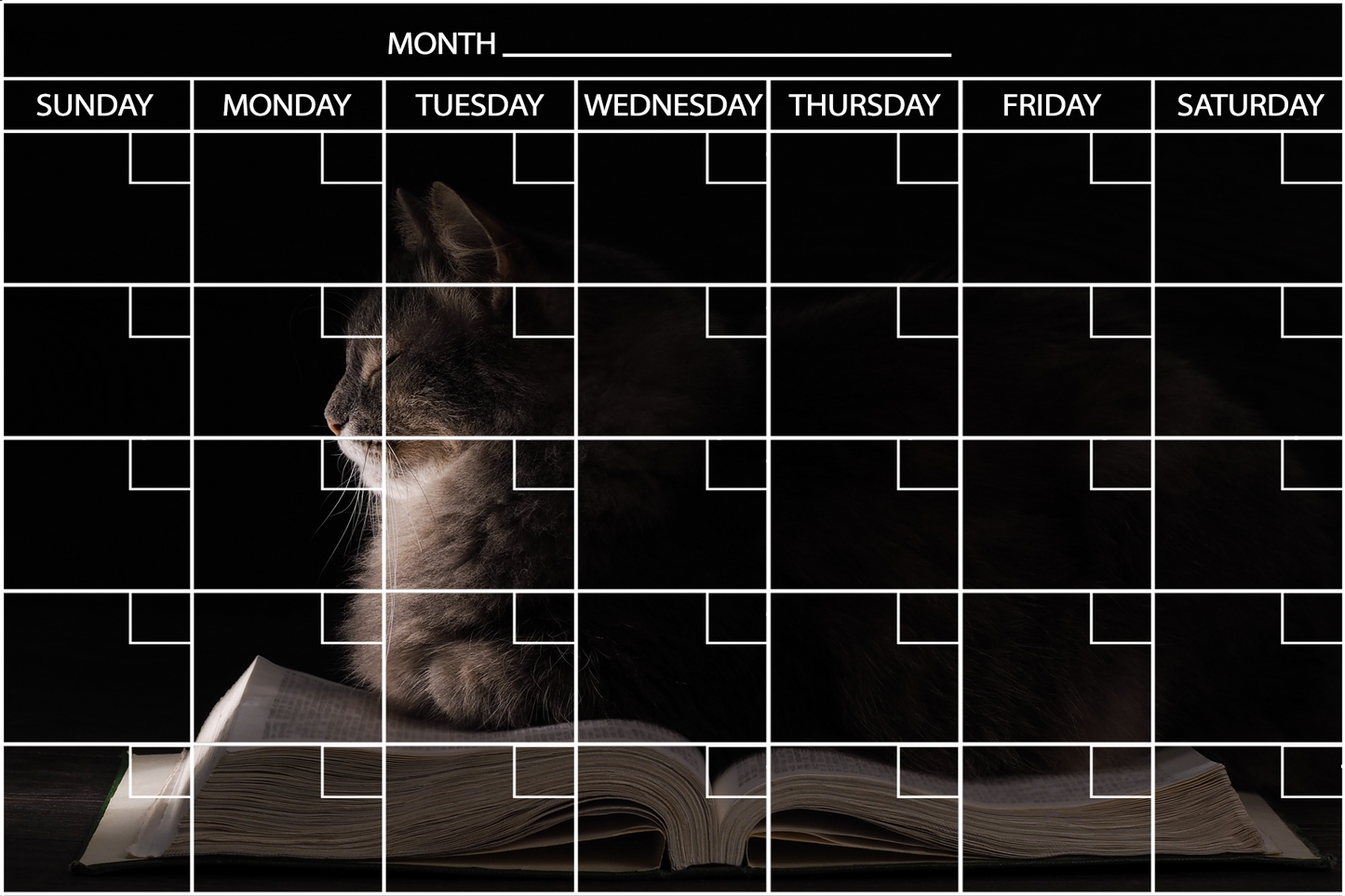 Cat on a Book - Flexible Fridge Magnet, Includes Fine Chalk Marker