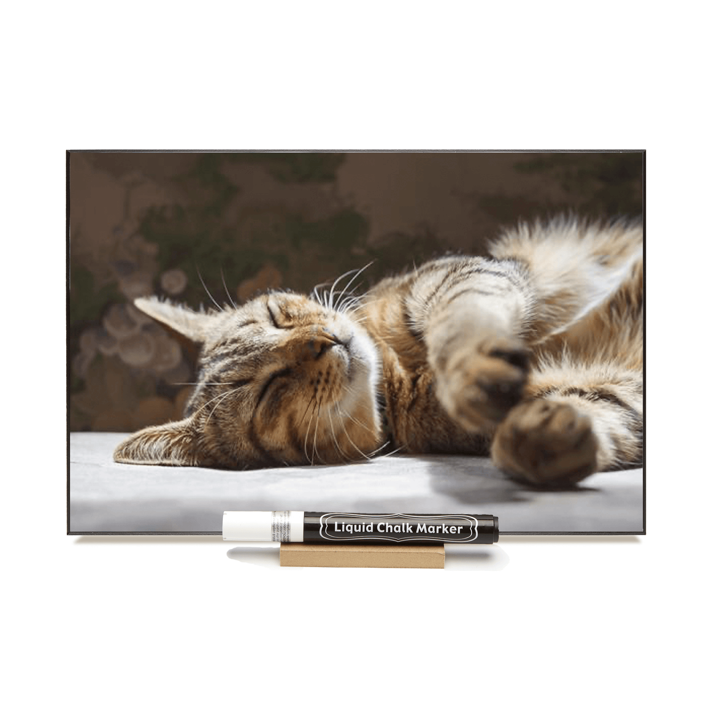 "Brown Tabby" PHOTO CHALKBOARD Includes Photo Chalkboard, Chalk Marker and Stand