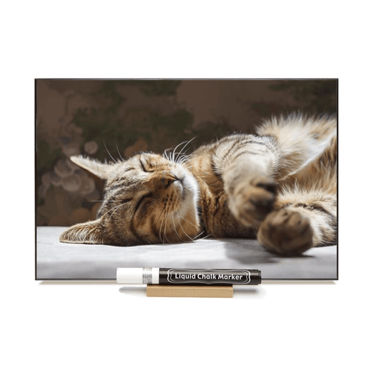 "Brown Tabby" PHOTO CHALKBOARD Includes Photo Chalkboard, Chalk Marker and Stand