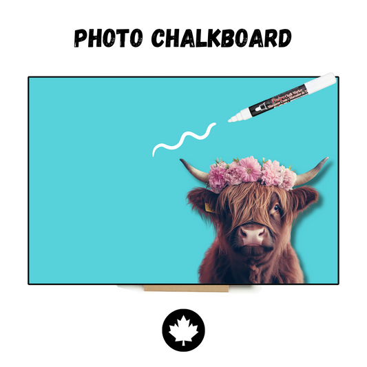 Rosie the Highland Cow (Turquoise) - PHOTO CHALKBOARD - Original Style & Flexible Fridge Magnet