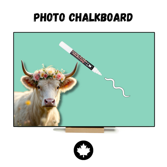 White Highland Cow (Green) - PHOTO CHALKBOARD - Original Style & Flexible Fridge Magnet