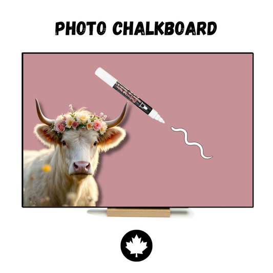 White Highland Cow (Pink) - PHOTO CHALKBOARD - Original Style & Flexible Fridge Magnet
