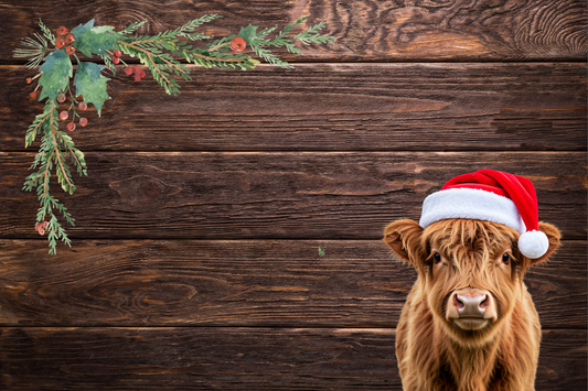"Blue Barnboard Highland Cow" Flexible Fridge Magnet, including the marker