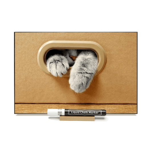 "Cat In Box"  PHOTO CHALKBOARD  Includes Chalkboard, Chalk Marker and Stand