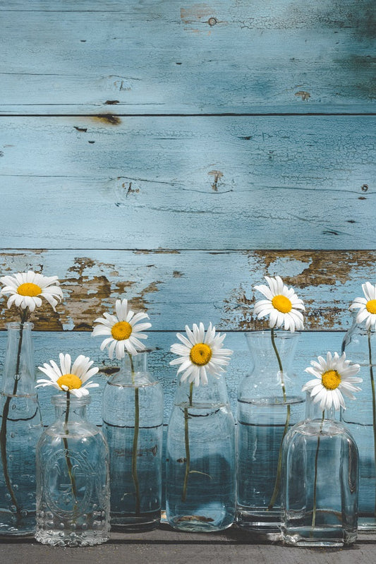 "Vintage Daisies"  PHOTO CHALKBOARD - Includes Chalkboard, Chalk Marker