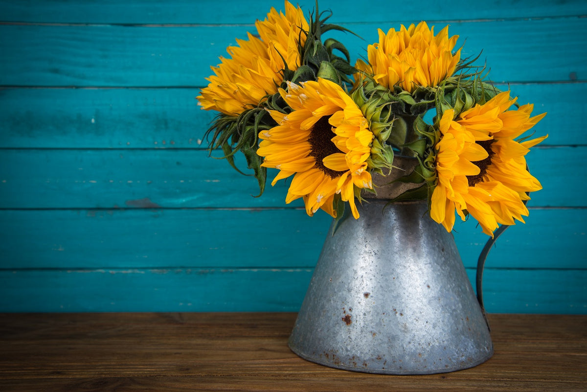 "Sunflowers on Barnboard" Flexible Fridge Magnet, including the marker