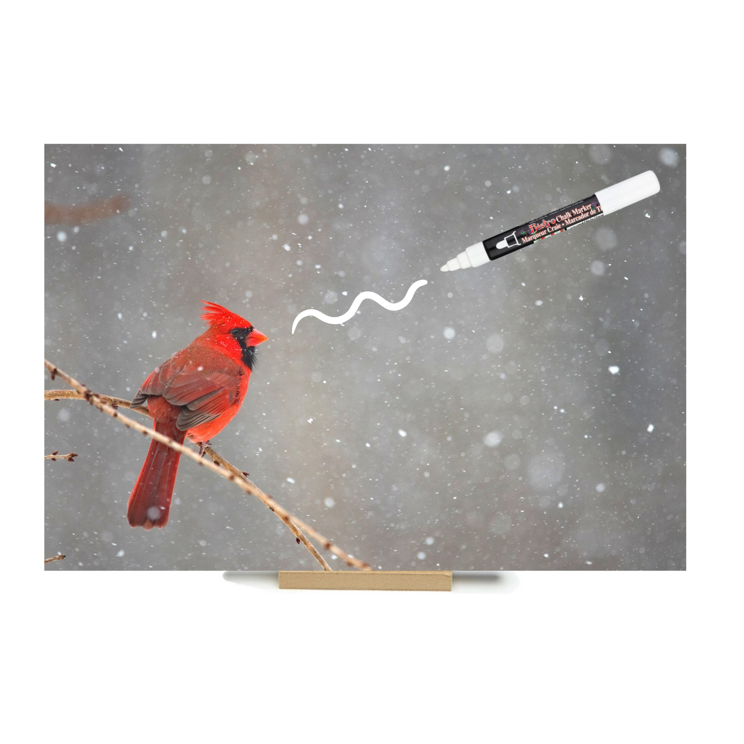 "Cardinal" PHOTO CHALKBOARD Includes Chalkboard, Chalk Marker and Stand