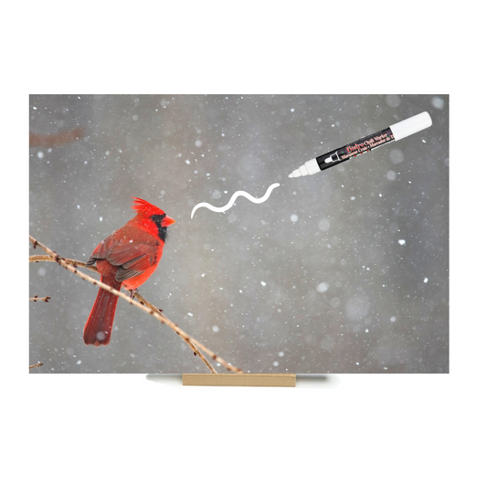 "Cardinal" PHOTO CHALKBOARD Includes Chalkboard, Chalk Marker and Stand