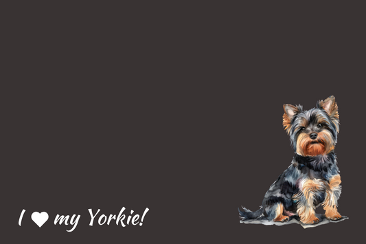 Yorkie - Black & Tan
