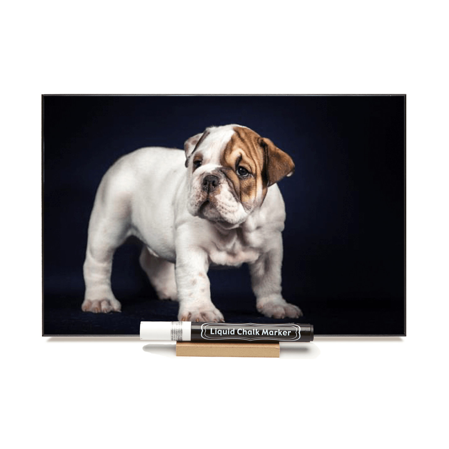 "English Bulldog"  PHOTO CHALKBOARD Includes Chalkboard, Chalk Marker and Stand