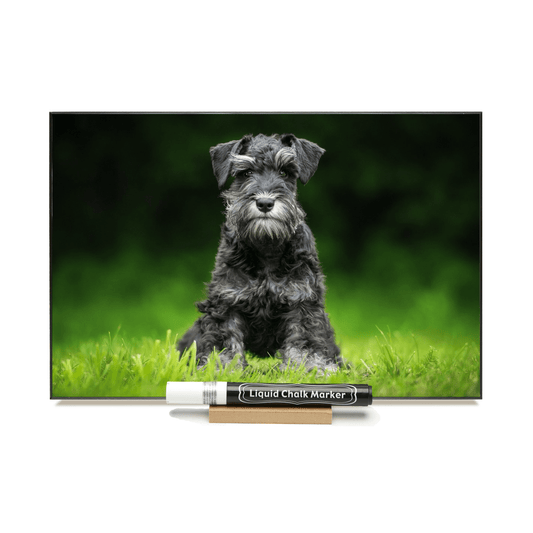 "Schnauzer"  PHOTOCHALKBOARD  Includes Chalkboard, Chalk Marker and Stand