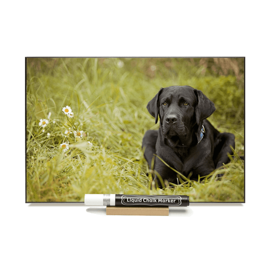 "Black Lab" PHOTO CHALKBOARD Includes Chalkboard, Chalk Marker and Stand