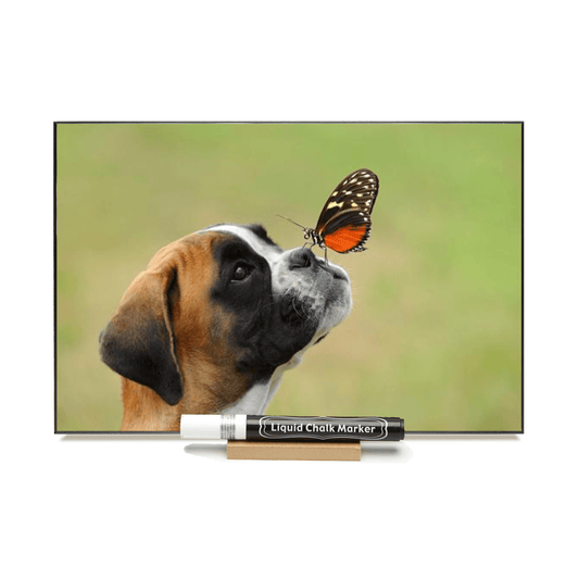 "Boxer with Butterfly" PHOTO CHALKBOARD Includes Chalkboard, Chalk Marker and Stands