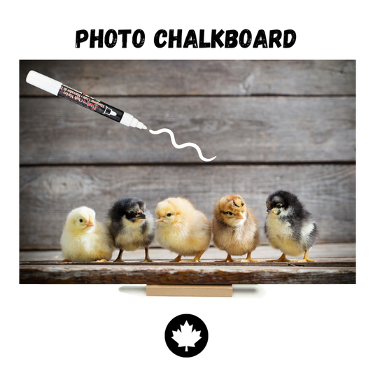 "Chicks On Barnboard"  PHOTO CHALKBOARD  Includes Chalkboard, Chalk Marker & Stand