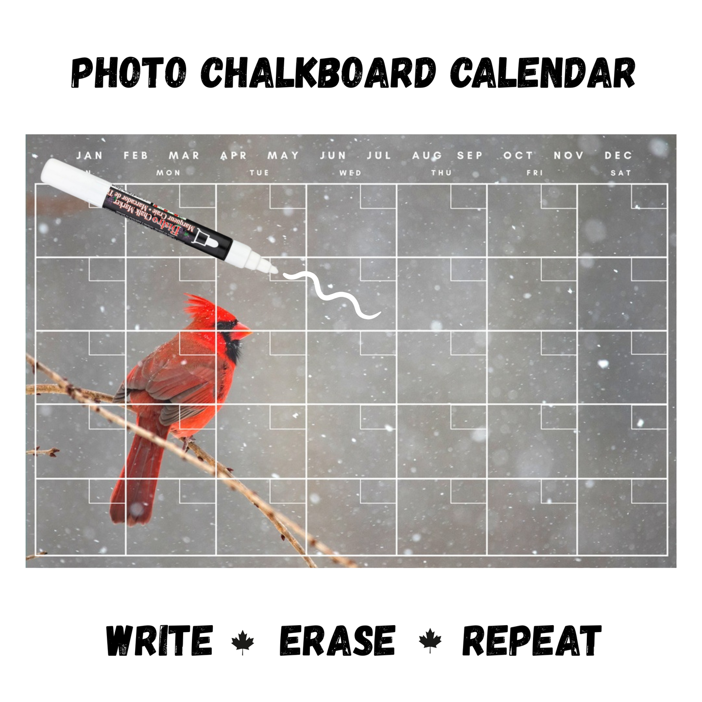 Ruby Throated Hummingbird Calendar PHOTO CHALKBOARD Includes Chalkboard, Chalk Marker and Stand