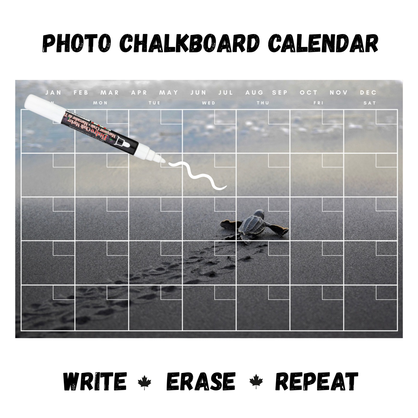 Baby Turtle Calendar PHOTO CHALKBOARD Includes Chalkboard, Chalk Marker and Stand