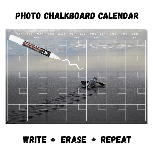 Baby Turtle Calendar PHOTO CHALKBOARD Includes Chalkboard, Chalk Marker and Stand