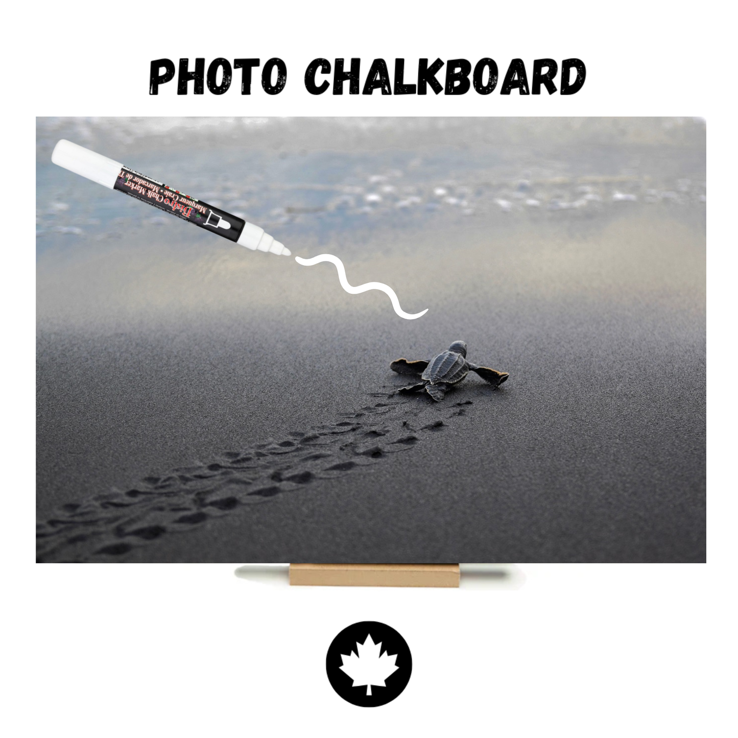 "Barnboard Starfish" PHOTO CHALKBOARD Includes Chalkboard, Chalk Marker and Stand